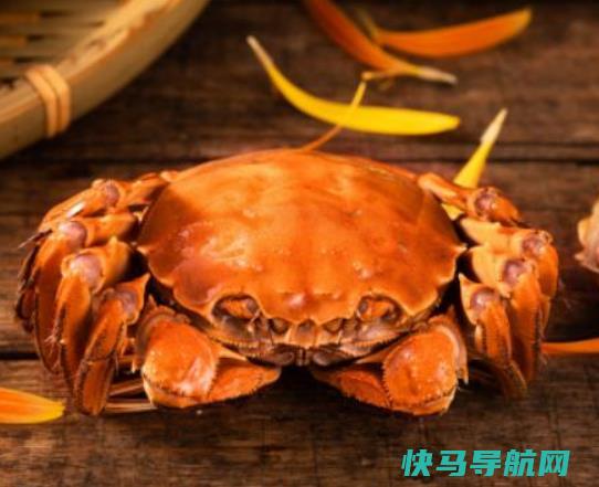 梭子蟹什么时候吃肉多？梭子蟹冷冻可以保存多久