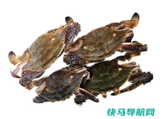 梭子蟹怎么看死没死？梭子蟹在哪里买便宜又好吃
